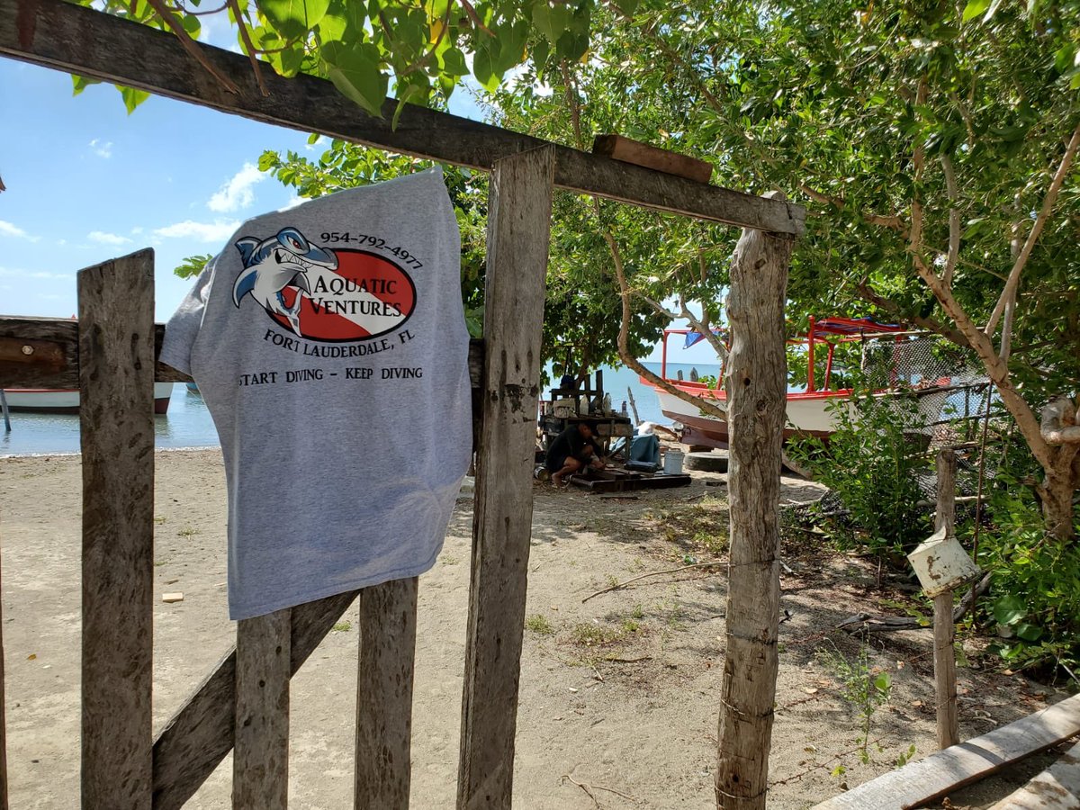 aquaticventures's tweet photo. How amazing is it when you get pictures of your logo sent to you from Cuba? #aquaticventures #scuba #scubadiving #dive #learnscuba #learndiving #learnscubadiving #learntoscuba #learntodive #saltlife #fortlauderdale #fortlauderdalebeach #divelife #tusa #naseworldwide https://t.co/Jfr6LbxLJx