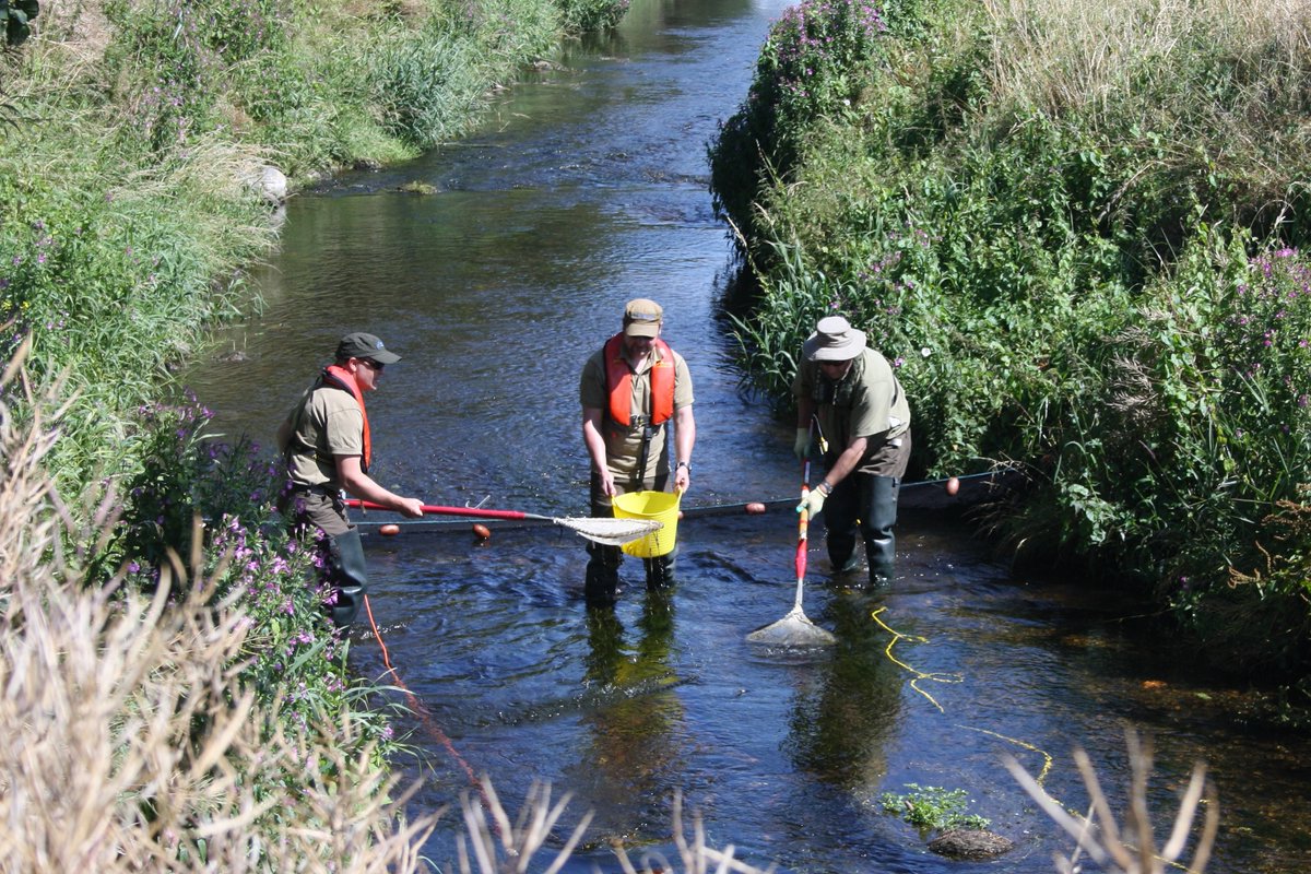 Inland Fisheries Ireland tweet media