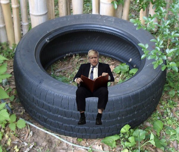 ThePoke's tweet image. You’ve heard of Elf on the Shelf, now get ready for