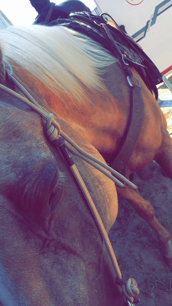 Natnobles's tweet photo. losing my sweet woody has been worst than any break up ever or anything I’ve gone through before.. #resteasy #imissyousm https://t.co/iToYC4qx1n