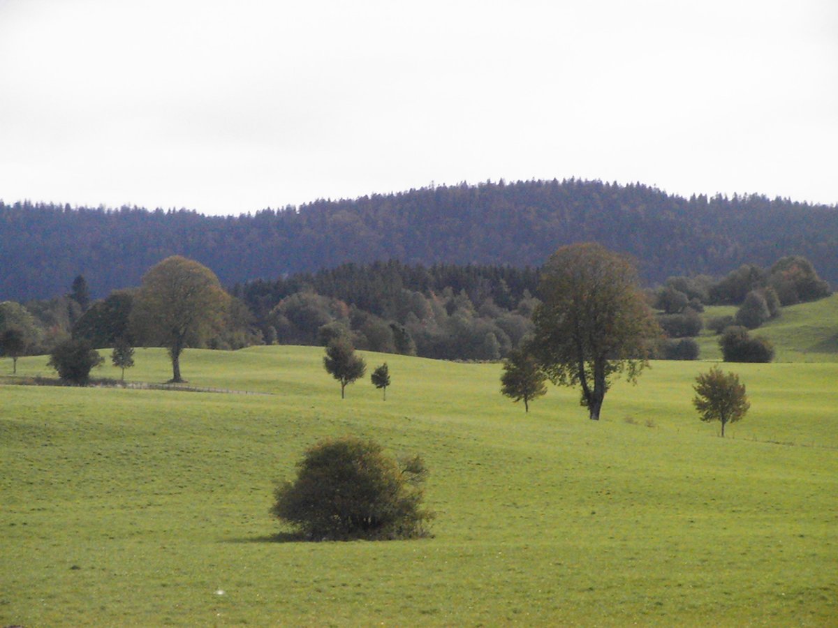 nathcharbonnel's tweet photo. PhD opportunity in Montpellier with @BenRocheGroup and @nathcharbonnel on "deciphering the links between biodiversity and health: rodents, microbiota and zoonotic pathogens". Deadline to apply: 17 January 2020. Details on https://t.co/1724QtW03S https://t.co/SFb9HKRZDU