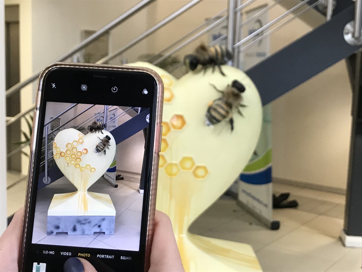 Here’s the bee-autiful ‘Bee Kind’ heart in its new home at <a href="/wellandmedical/">Welland Medical</a> in Crawley 🐝💛 
#hearttrailuk #hearttoheart #hearttrail #art #heart
#arttrail #charitytrail #charityarttrail #artexhibition #stcatherineshospice
#hospice #hospicecare #charity #fundraising