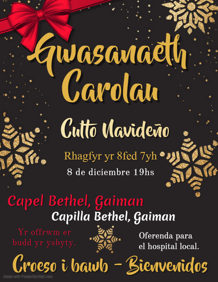 Asociación San David Trelew (@sandavidtrelew) on Twitter photo 