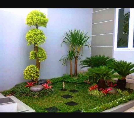 ZEENATURE's tweet photo. @lillynaomi_ We are into:
Landscaping,
Treatment of Flowers,
Sales of Flowers,
Sales of Pure Honey,
Sales of Foreign Pots and General Maintenance.
WhatsApp us on
0901 082 2697
You only pay after job is done.
We Green Your Home https://t.co/aOWePiXrjI