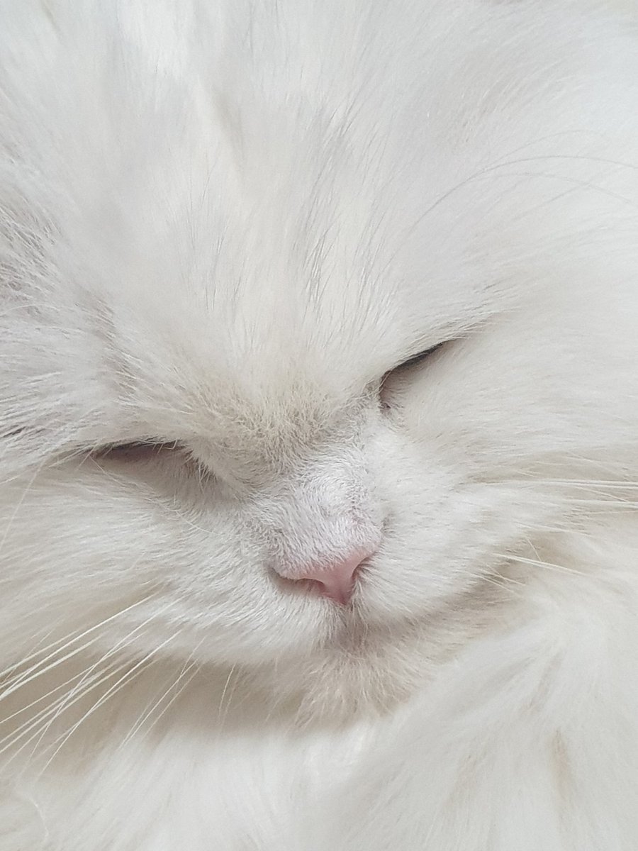 몽이 (@ct_mong) on Twitter photo 