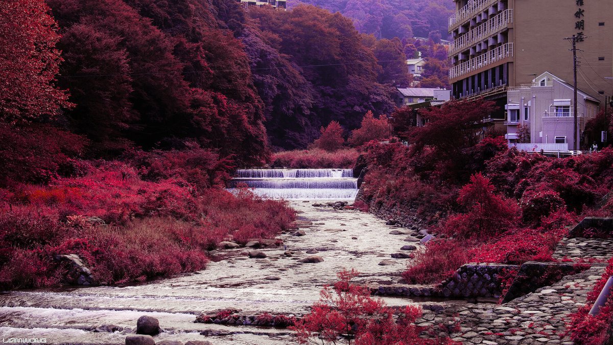 AestheticsJapan's tweet photo. Daydreaming in Japan
by @liamwong https://t.co/nWioVyANK0