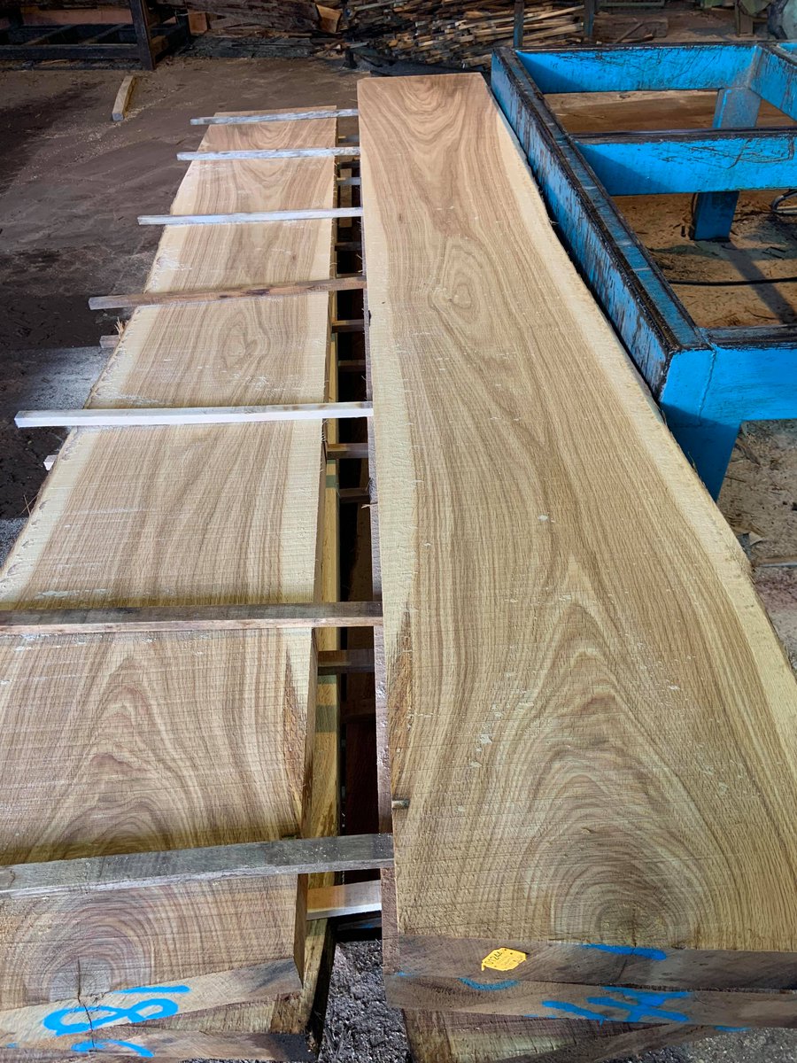 WhitneySawmill's tweet image. What a beast! Remember the log I was hiding behind recently? Well, here it is being cut up. I left the forklift in for scale!!
We can provide timber in any size to suit your requirements. No matter how hefty!
#sawmill #UKTimber #HerefordHour