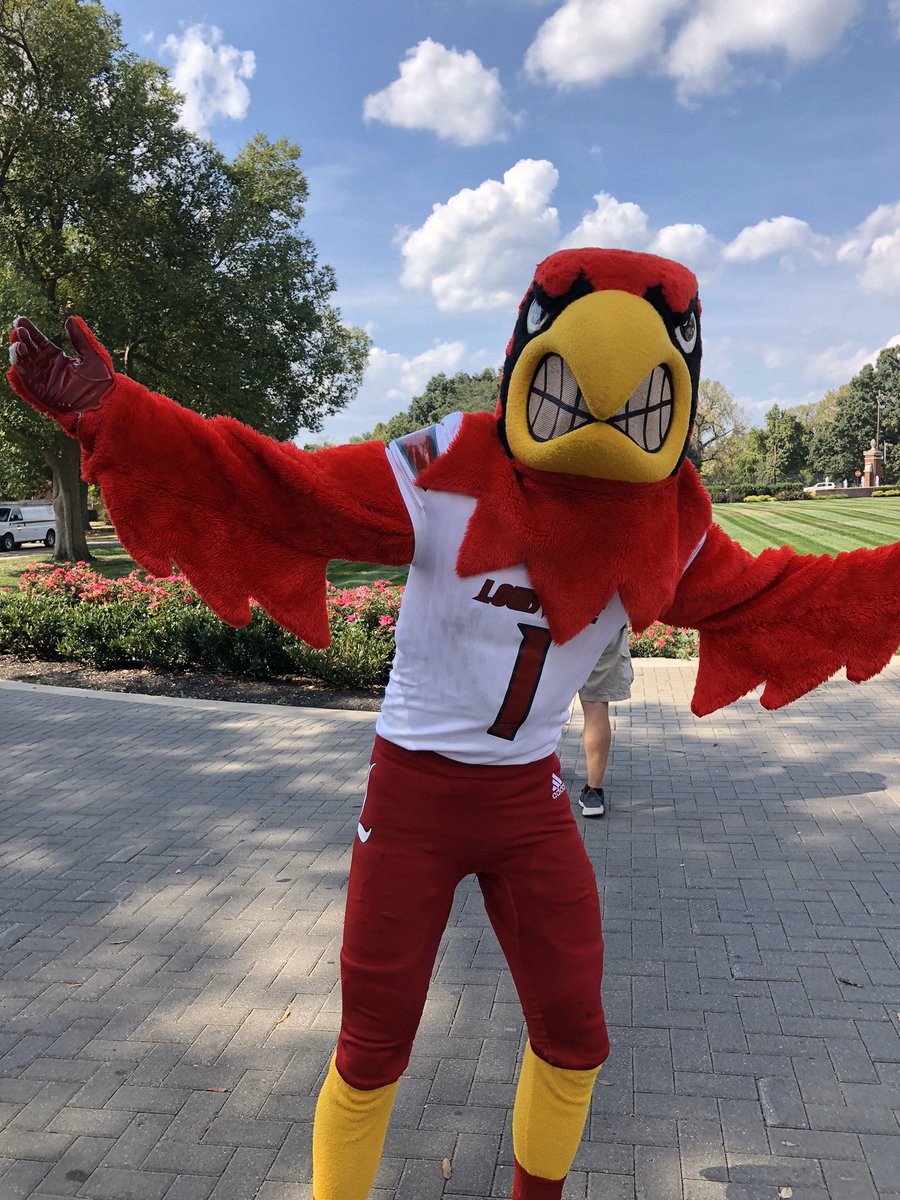 University of Louisville tweet media