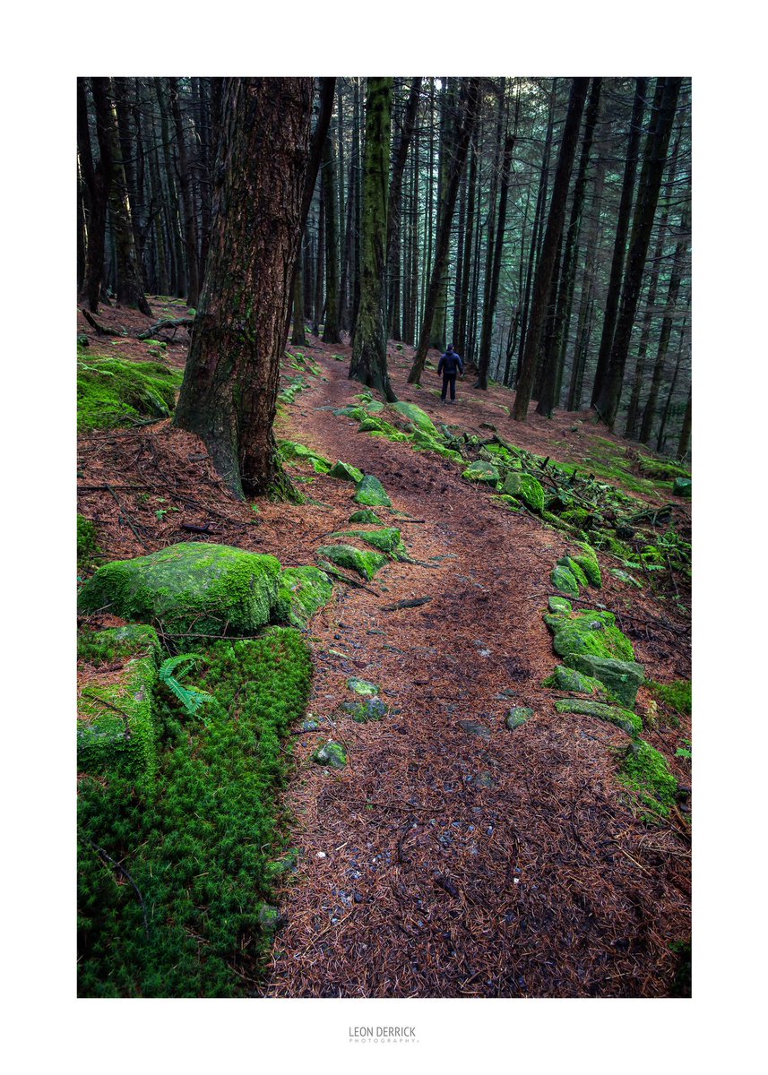 Leon Derrick tweet media