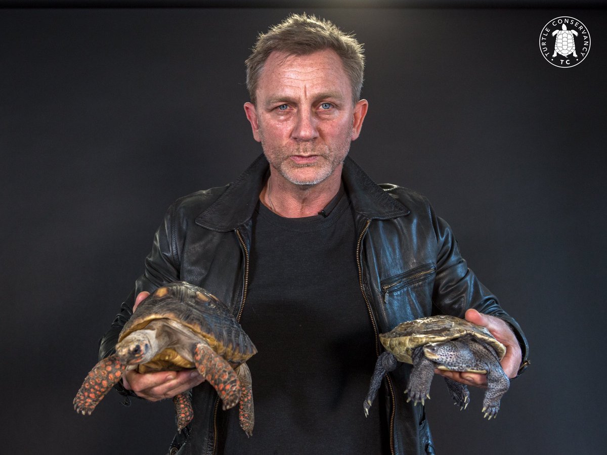 James bond with two turtles