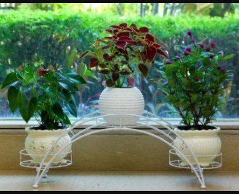 ZEENATURE's tweet photo. @weyinmie @omowo We are into:
Landscaping,
Treatment of Flowers,
Sales of Flowers,
Sales of Pure Honey,
Sales of Foreign Pots and General Maintenance.
WhatsApp us on
0901 082 2697
You only pay after job is done.
We Green Your Home https://t.co/ULPoPlX2yf