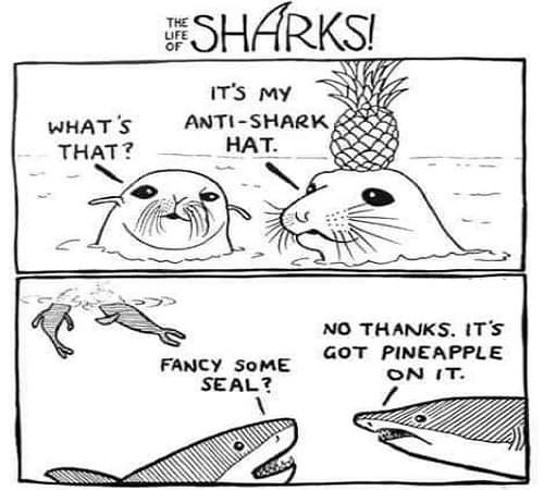 #funny #meme #SharkWeek