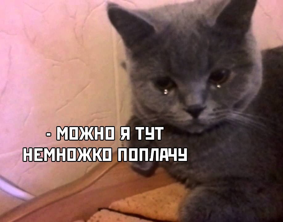 pidor_deviant's tweet photo. Вся наша группа, когда поставили вторую историю четвёртой парой и задали на дом ��бработать на 4 темы:

#мемы #колледж https://t.co/QDXtY96wxb
