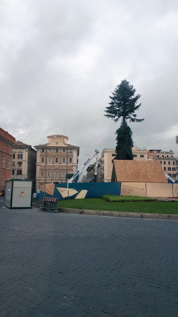 MilaOnder's tweet image. Eccolo!!! Senza di lui che Natale è? #SpelacchioIsComing