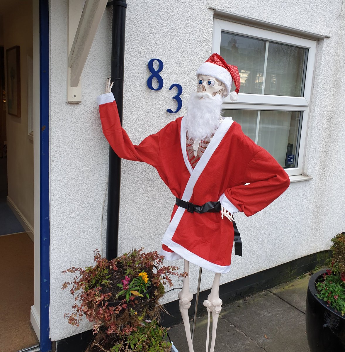 Leyland Physiotherapy tweet media