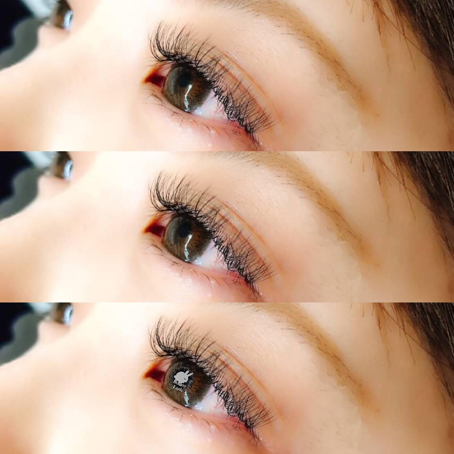 Twitter 上的 Bunnylash アイブロウ マツエク パリジェンヌ モデル募集 津田沼 12月 マツエク モニター募集 3d4dボリュームラッシュ500本5500円 人気のユニコーンカラーは6500円にて ご予約 お問い合わせは全てお電話にて 津田沼 船橋