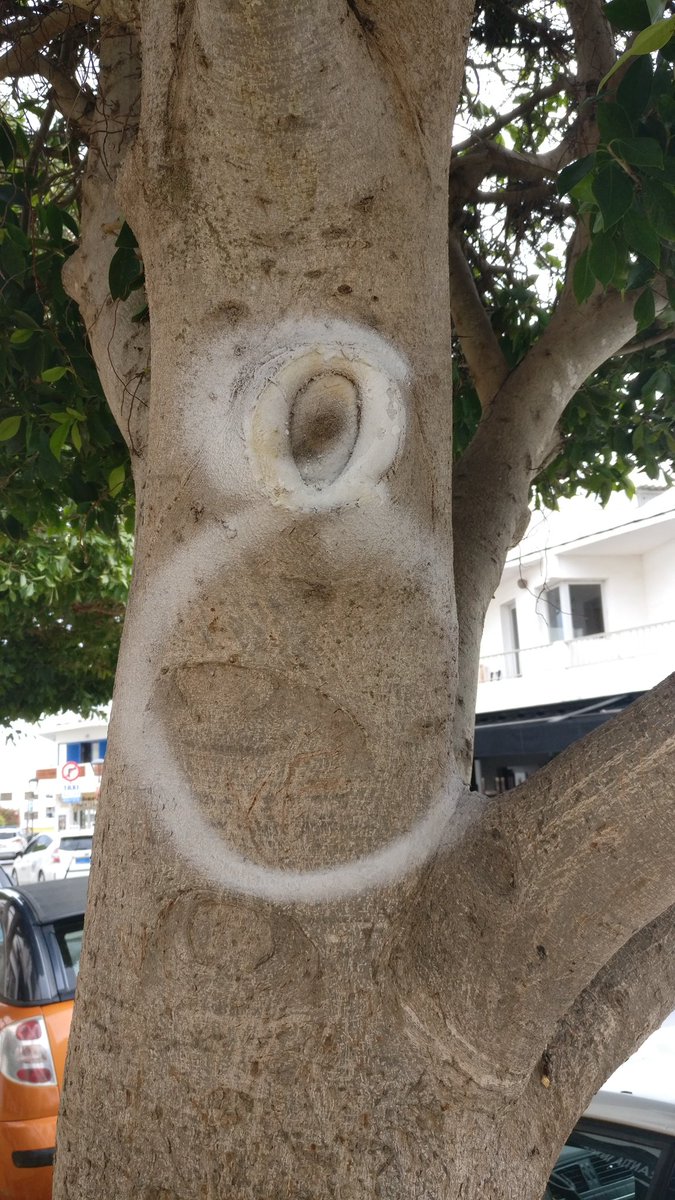 PSOEFormentera's tweet photo. 🔴 Aquest matí l’àrea de #mediambient ha resolt amb màxima #eficàcia i #rapidesa la neteja de les pintades de les soques dels arbres del c/Sta Maria de Sant Francesc.
#formentera https://t.co/ybBvqucGyw