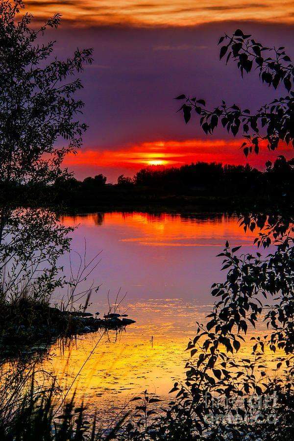 Germano Vital (@germanovital43) on Twitter photo 