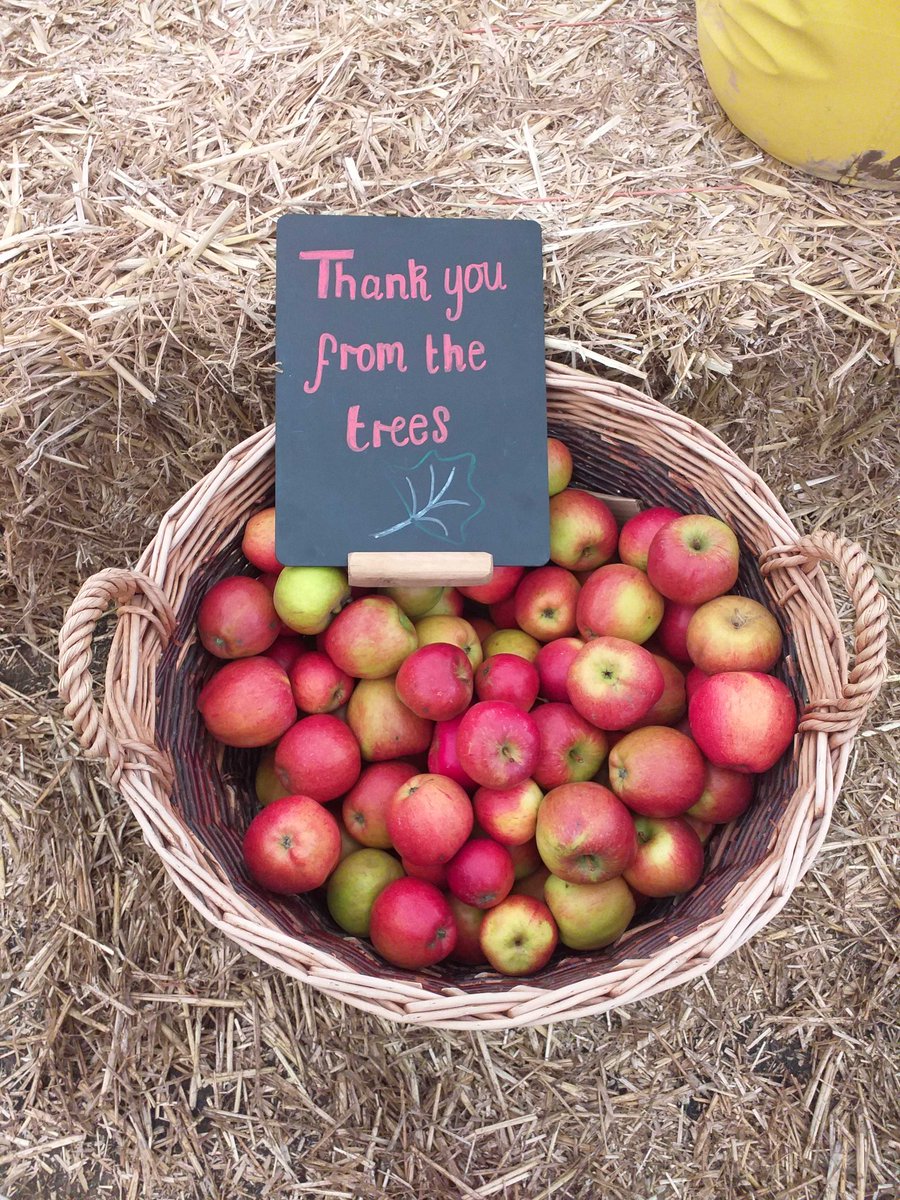 hvmitch76's tweet photo. It was a foggy wintery day but wow, just great community planting! A few snapshots of #Meadfest #BigClimateFightback = the first of many ongoing exciting & engaging wintery events at our #youngpeoplesforest How many trees did you plant?! @may_gdn @WoodlandTrust @iwill_campaign https://t.co/HEjnKwI27k