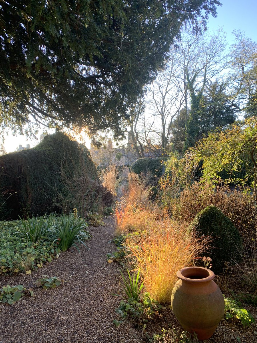 A very cold morning here at the Garden School today ❄️ #garden #gardenschool #winter #cold