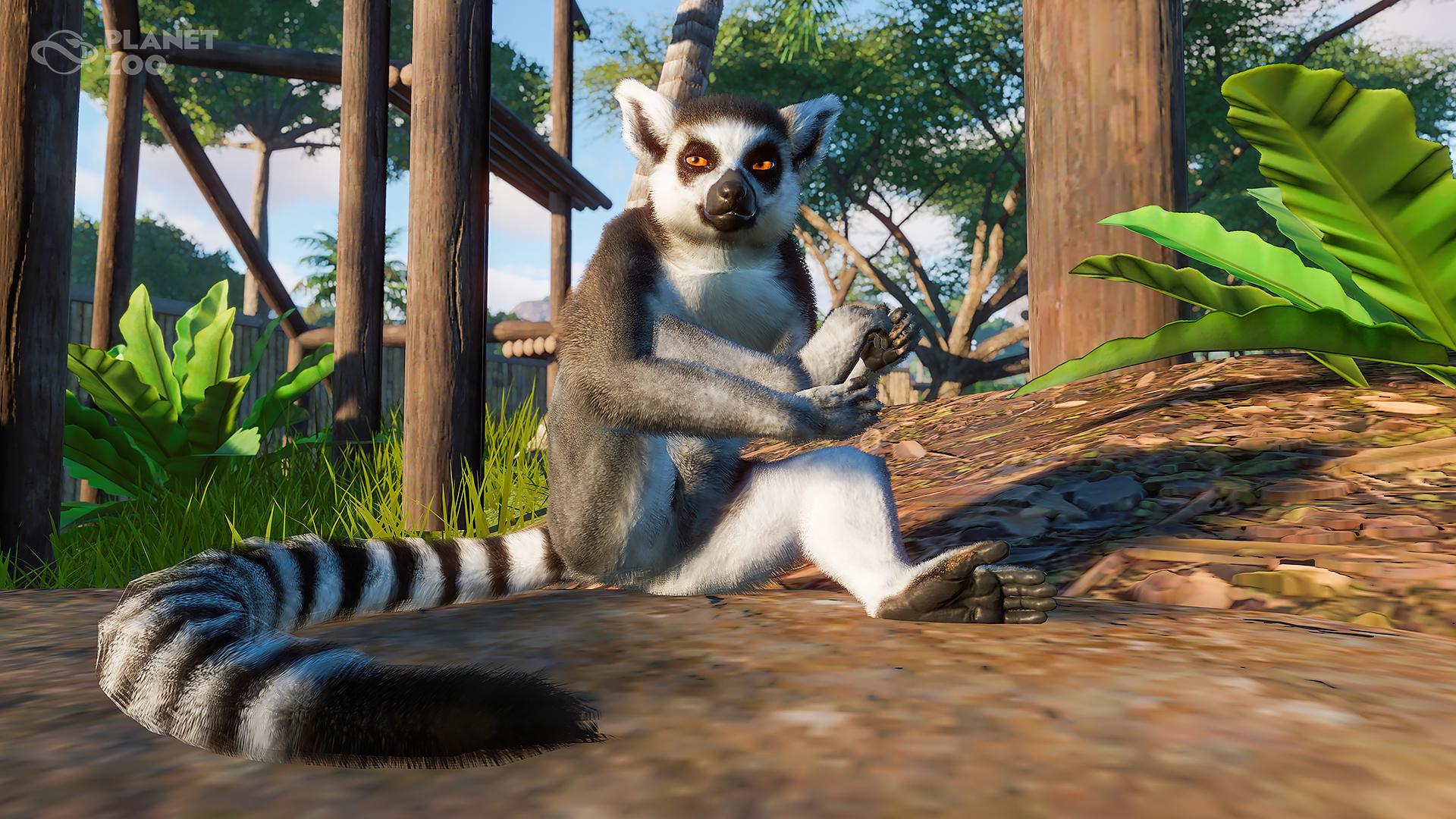 Planet Zoo on Twitter: Planet Zoo on Twitter: