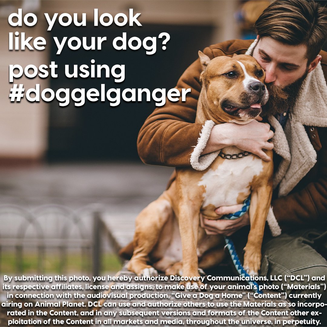 CALLING ALL PET OWNERS! Do you look like your dog?? Tweet a photo of you and your furever friend using #doggelganger for a chance to appear on our Special Edition of  #GiveADogAHome THIS Saturday, Dec 7 at 8pm ET/5pm PT! 📸