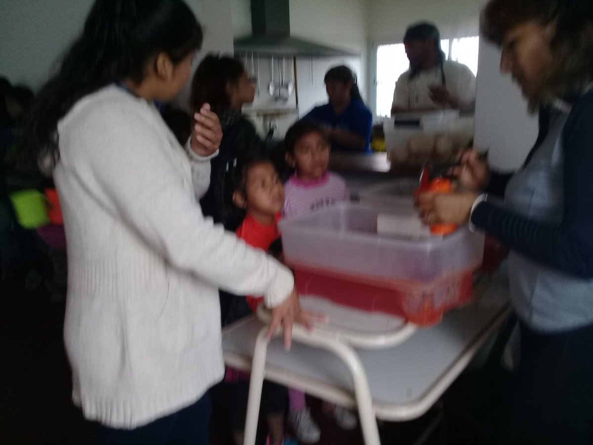 Jesi232323's tweet photo. Plan Alimentario Salteño.  Escuela Leopoldo Lugones. 
@artydance23 @fguillesaavedra @rubem_dario29 @patriciapinasco @MEducacionSalta @UrtubeyJM https://t.co/LJf0ubwHPr