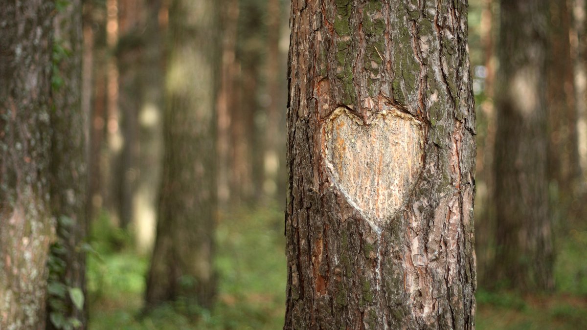 Andrew Edmondson tweet media