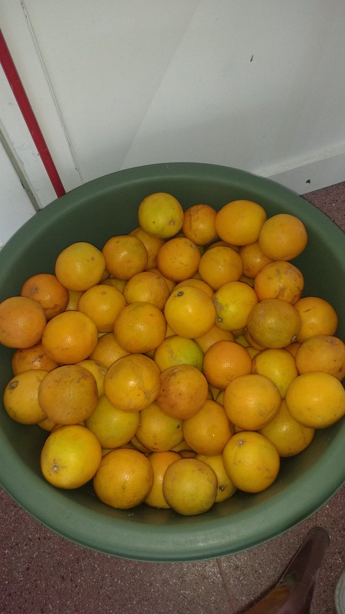 Jesi232323's tweet photo. Plan Alimentario Salteño.  Escuela Leopoldo Lugones. @fguillesaavedra @rubem_dario29 @artydance23 @patriciapinasco @UrtubeyJM @MEducacionSalta @SaltaEduca2030 https://t.co/stJviPhrr2