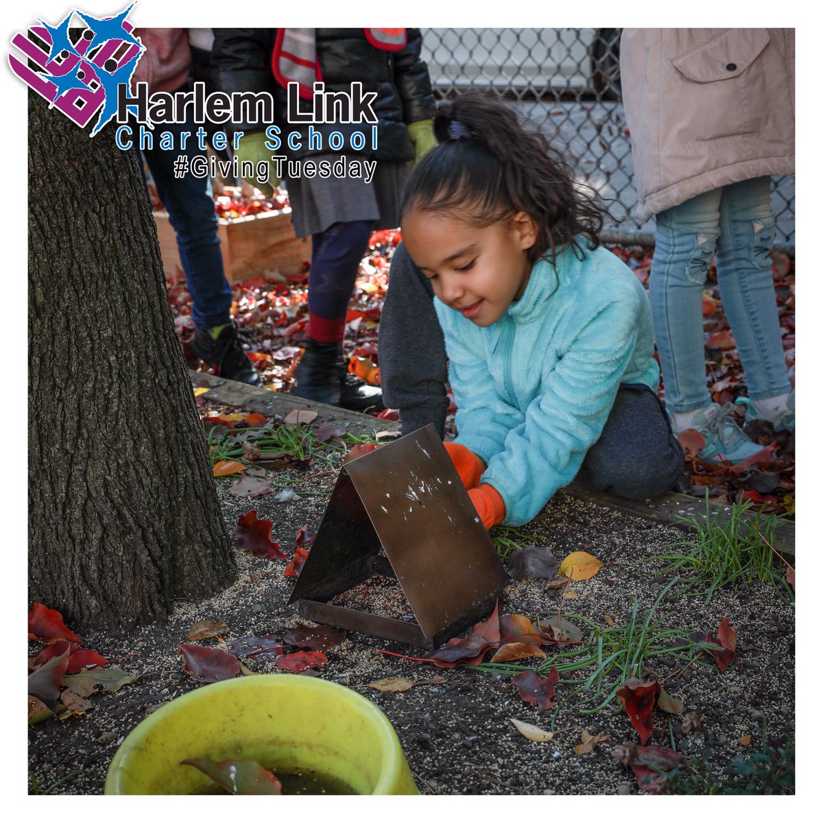 harlemlink's tweet photo. Cyber Monday is upon us, but we’re planting the seeds to grow something greater - We’re less than 24 hours away from making a difference with a huge fundraising push. https://t.co/uGuT1WBcYC #harlemlink #relationshipsmatter #GT2019 #givingtuesday #givemore https://t.co/l22PzO1KdC