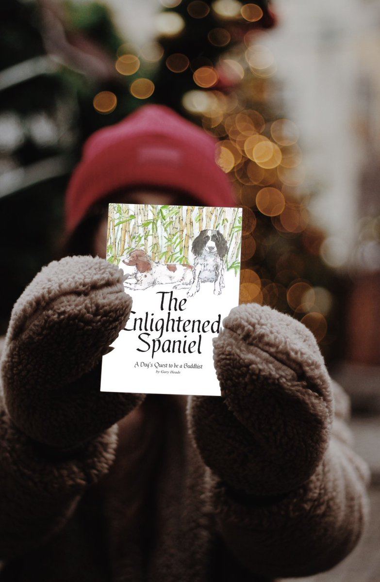 EnlightSpaniel's tweet image. Writing up in Northumberland today. Two spaniels asleep after a wintry walk. If you are going out to get The Enlightened Spaniel wrap up warm.