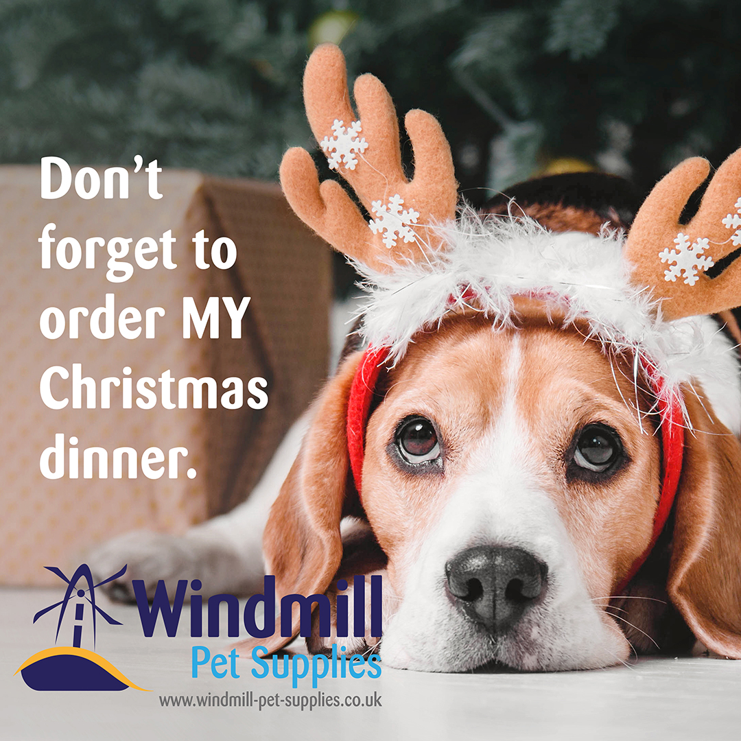 Delivering throughout the xmas period 

#dogfood #rawdogfood #wasps #warwickshire