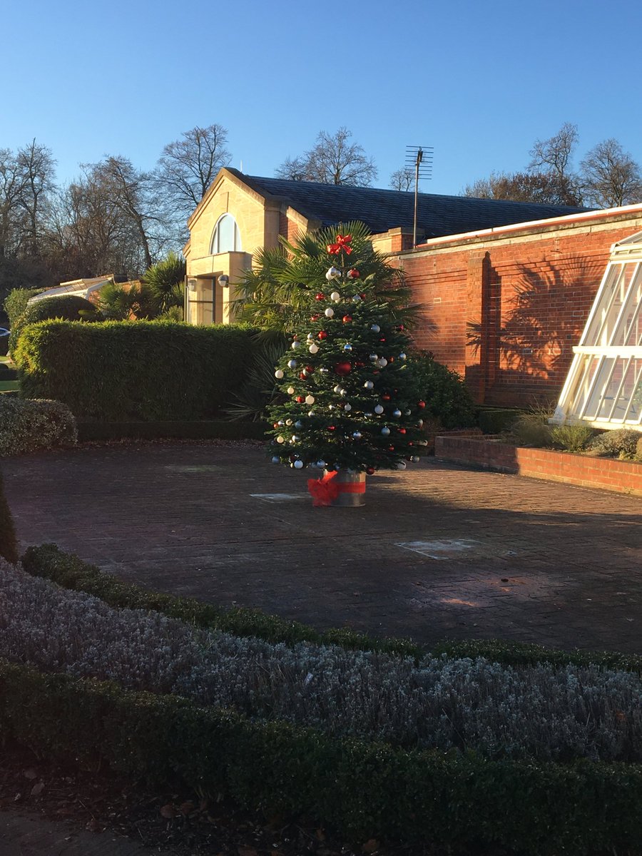 caltew's tweet image. It’s beginning to look a lot like Christmas outside the SAS Marlow Learning Centre #sasprofs #saseducation #sastraining #sasusers