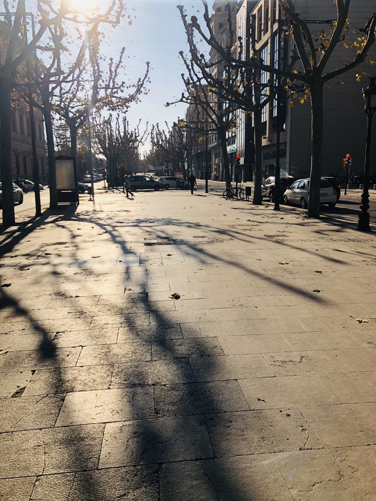 AnnaCos74's tweet photo. Retorns de tardor al #barri una tarda de dilluns! #rambladeferran #lleida https://t.co/gtqKfhD1NG