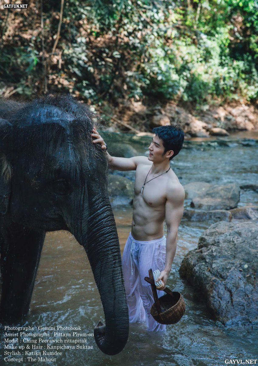 MW09126476's tweet photo. ควาญช้างน่ากิน ช้างตัวโตๆ 🐘#ควยชายแท้ https://t.co/uoQOhWuWQq