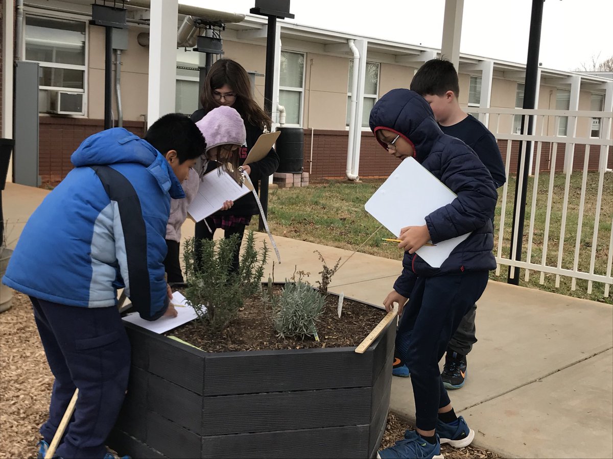 tvassil18's tweet photo. Measuring the garden beds to determine perimeter in the garden ⁦@WesternUnionES⁩ ⁦@AGHoulihan⁩ #outteach https://t.co/KqRiJOOp2u
