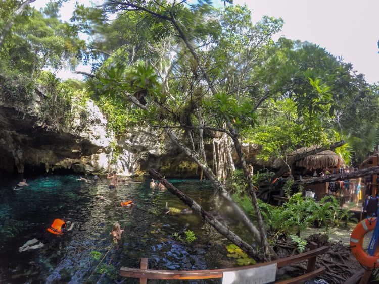 Coffee_Caminos's tweet image. Read all about what we got up to on a cenote biking tour with @bajabikes in #Tulum #Mexico coffeeandcaminos.com/uncategorized/… #cycling