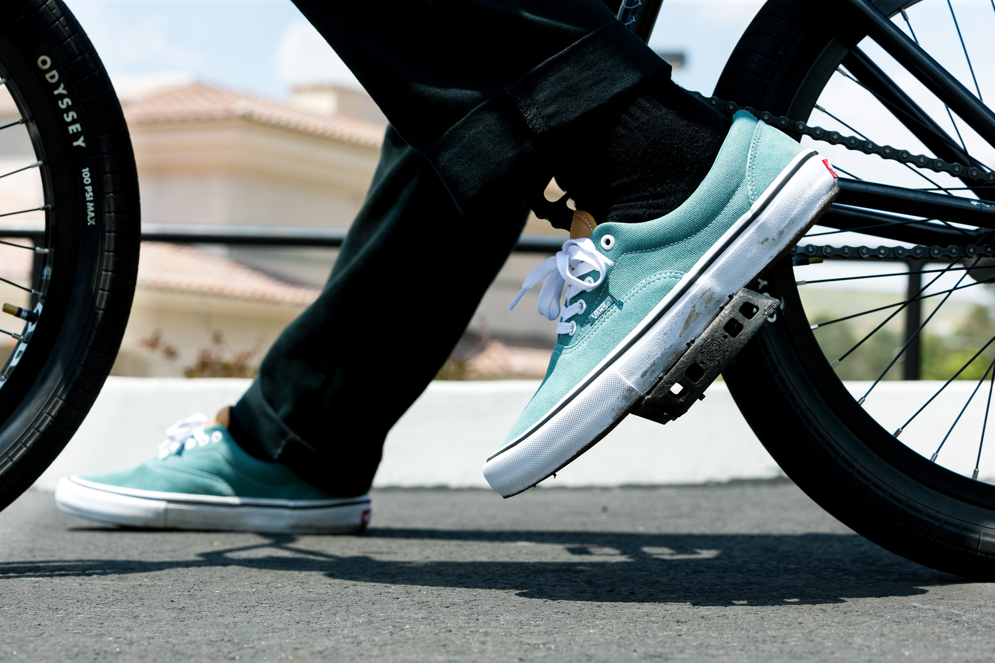 Vans new hot sale era