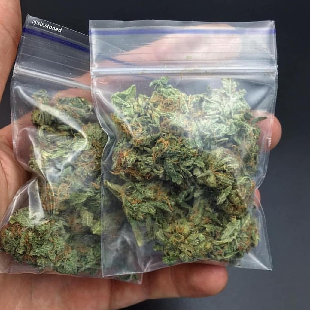 cannab420's tweet photo. livraison discrète sur Wickr :spirit4201

#paris86 #paris78 #paris3 #nantes #pontoise #nanterre #creteil #versailles #Saintdenis #week #beuh #shit #cannabis #cocaine #evry #melun #Beauvais #chartres #Evreux #laval #Angers #vannes #Brest #Angoulême #montauban #paris91 #hash #92i https://t.co/ipQohTE00T