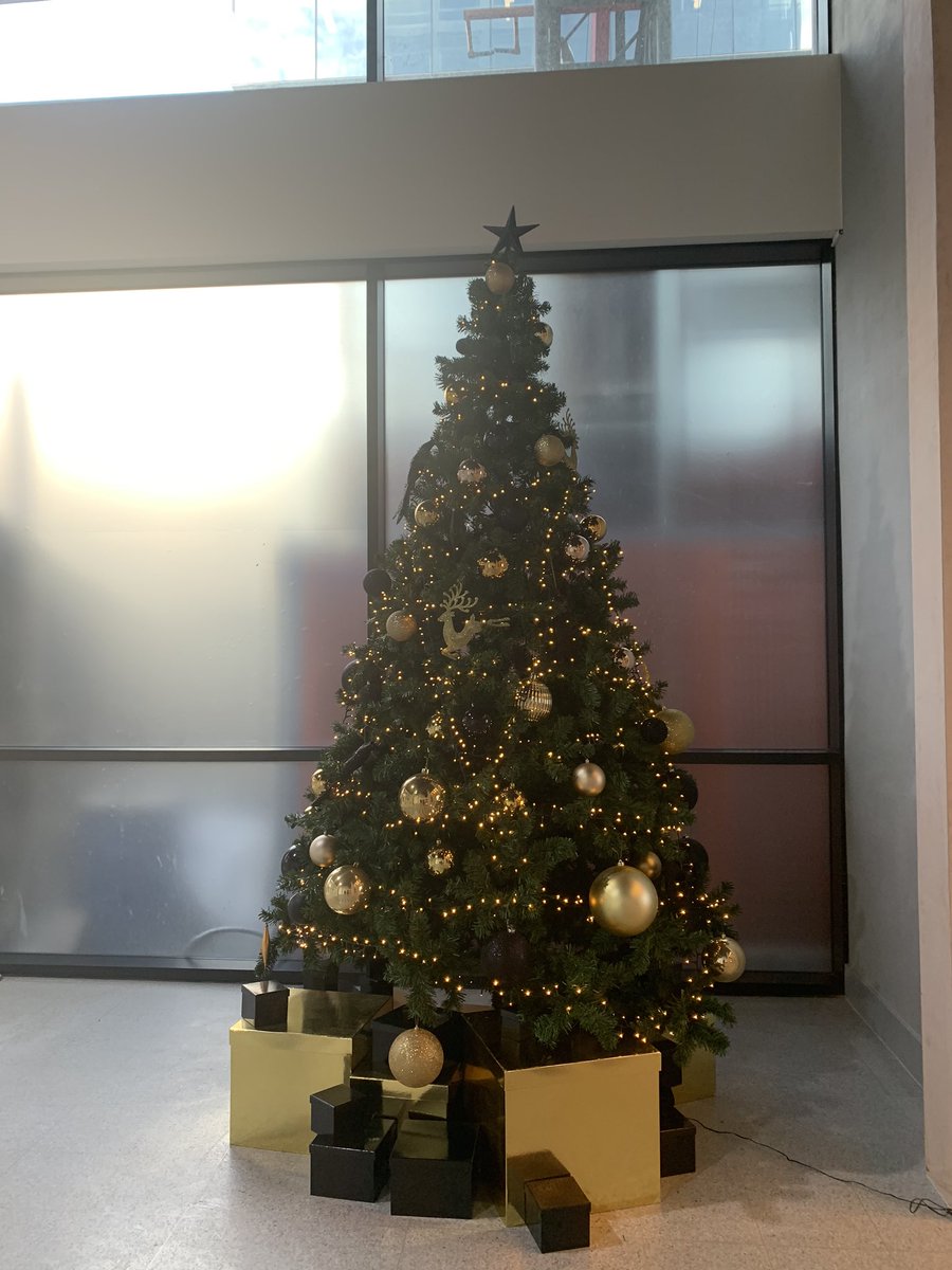 How lovely and festive it’s looking in our reception lobby <a href="/ABC_worksocial/">ABC Buildings Work & Social</a> 🎄💚