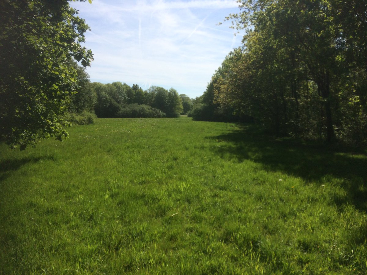 CllrPhilHarris's tweet photo. Good update this afternoon on biodiversity audit of Arley Woods which Cheshire Wildlife Trust have been commissioned to do. All on track to get final report in the new year, so we can follow up funding for further improvements in 2020 onward. #InvestInTheEnvironment https://t.co/A89bRSQRv3