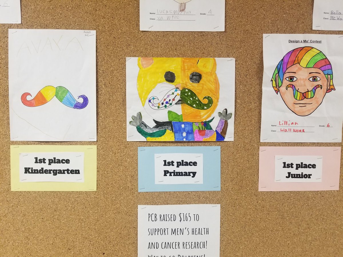 PcbLeadership's tweet photo. The @PC_dolphins had a lot of fun designing moustaches for @MovemberCA!!! Congrats to our 1st place winners and to all the dolphins who donated!! Great job PCB! https://t.co/HJfj3WdpHC