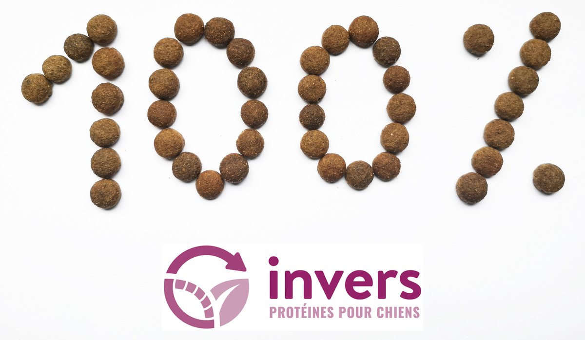 Objectif atteint ! Merci d'avoir contribué, grâce à votre participation au #crowdfunding, à la fabrication de notre 1ère #croquette pour #chien, #locale, #durable, made in #Auvergne ! Il reste 18 jours sur @domecrowd pour atteindre le prochain palier : domecrowd.fr/projets/invers… 🔥