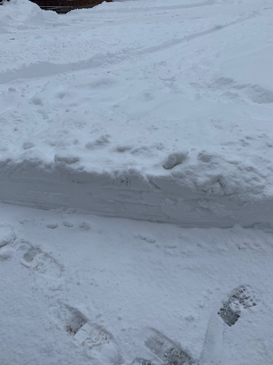 The sun’s up, the snow’s out, and school is cancelled! Never seen a foot of snow before, but it’s definitely something!