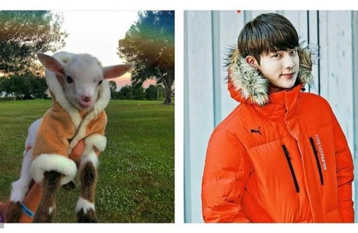 Army55357481's tweet photo. Jin and my 🤭💜
#ARMYSelcaDay https://t.co/VzczSXElDZ