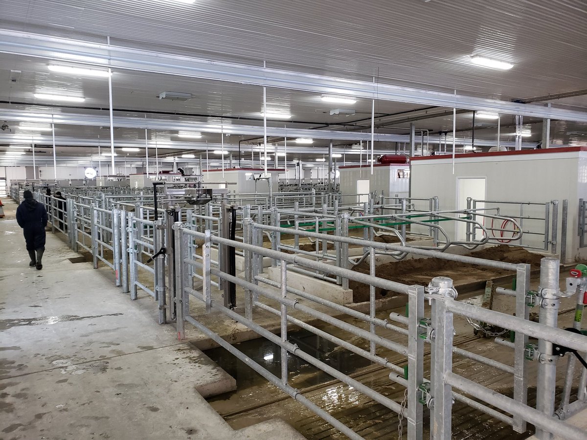 TheRobotDoc's tweet image. 