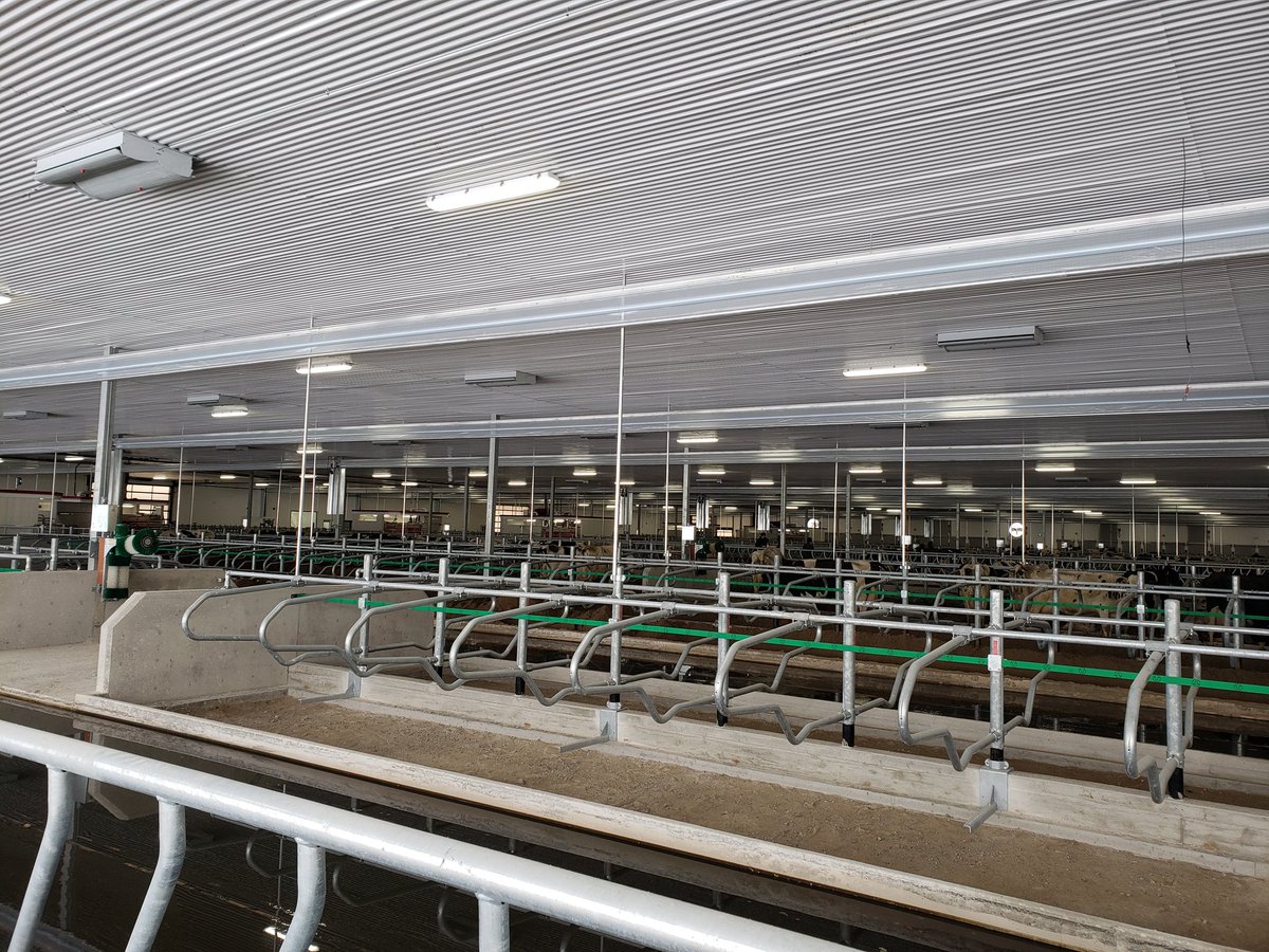 TheRobotDoc's tweet image. Hours aways for this 12 Robot barn start. @Avonbank_Ag @DairyRobot