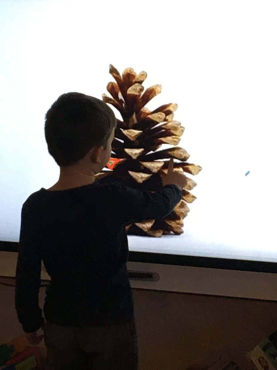 ABKinder2019's tweet photo. Looking for shapes in nature
#Kindergarten #Rm179 #NatureDetectives
#MathBrain https://t.co/QdnEIlLSgR