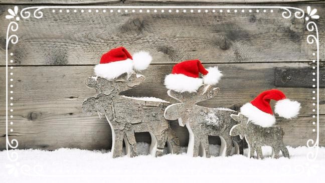 Don't miss this amazing Christmas Offer - mailchi.mp/notarogroup/do…