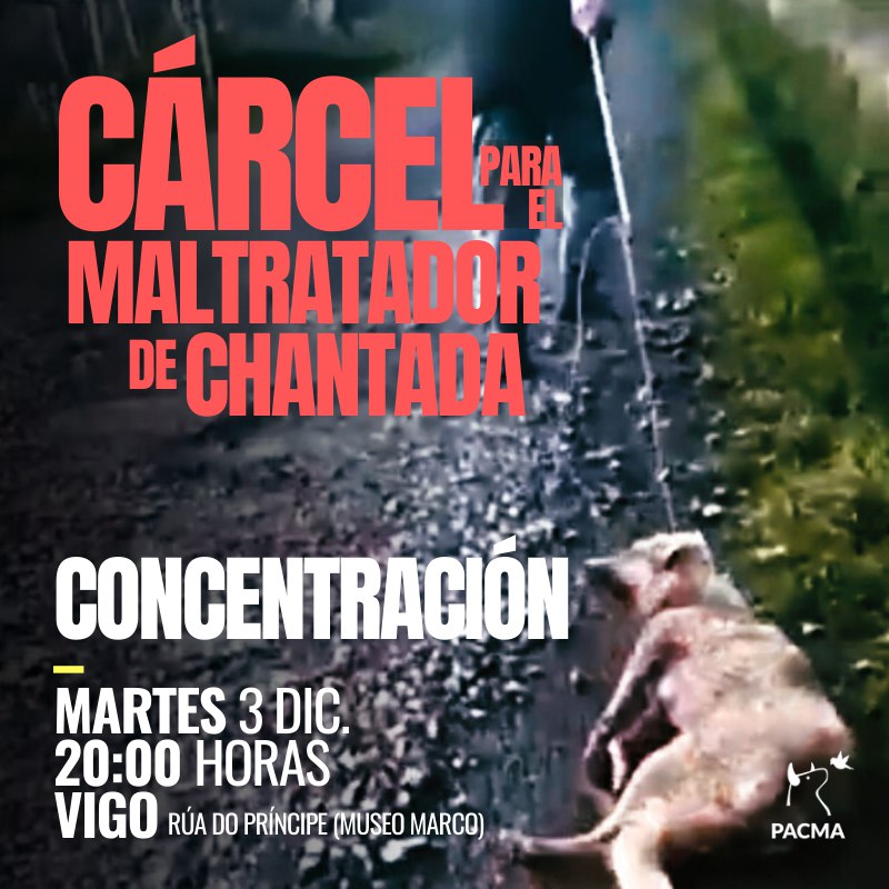 📢 PACMA convoca una concentración de repulsa por los terribles hechos del cazador de Chantada, que disparó y apaleó a su perra.

📍 Vigo 
📆 Mañana, 3 de diciembre
⏰ 20:00 horas
¡No faltes!
#MaltratadoresALaCárcel